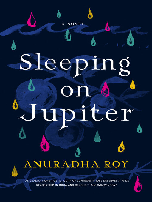Title details for Sleeping on Jupiter by Anuradha Roy - Wait list